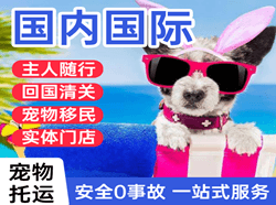 阿拉善左旗巴彦浩特航空货运国际宠物托运 【国